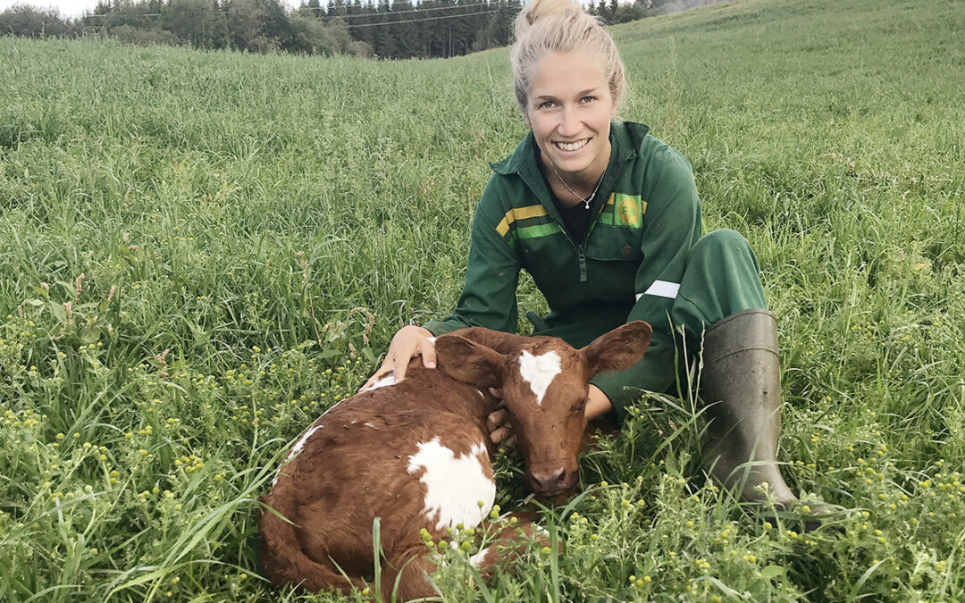 Avlsplanlegging i ammetåka