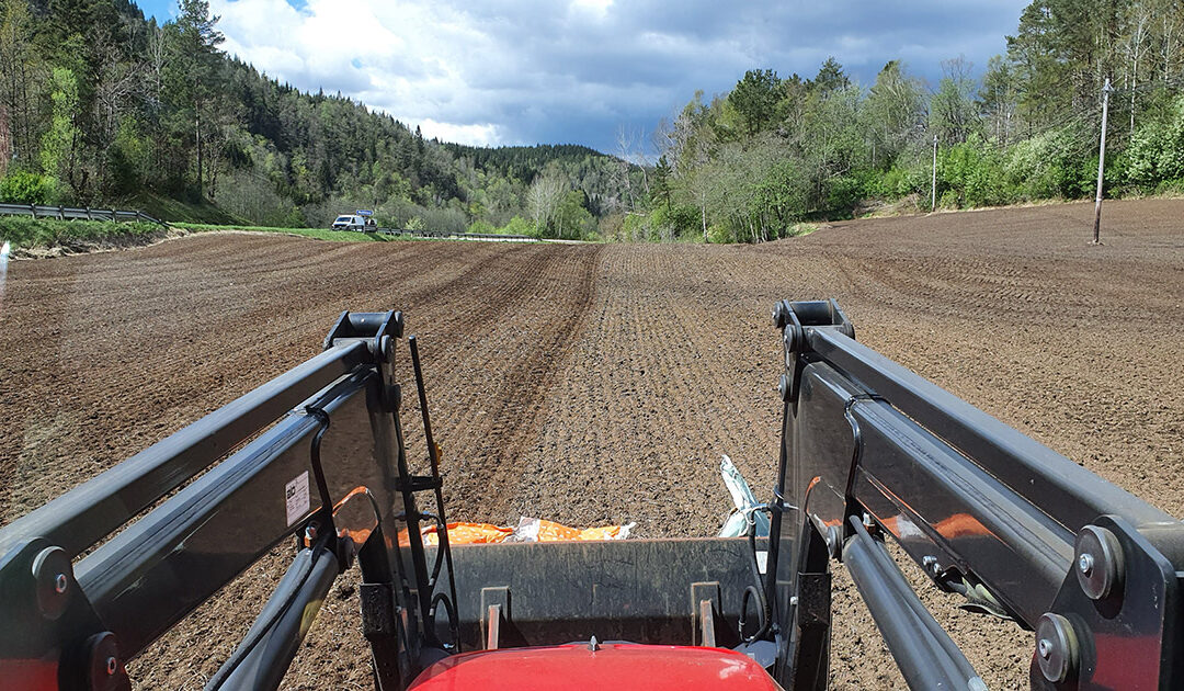 Slik blir våronna på vår gard