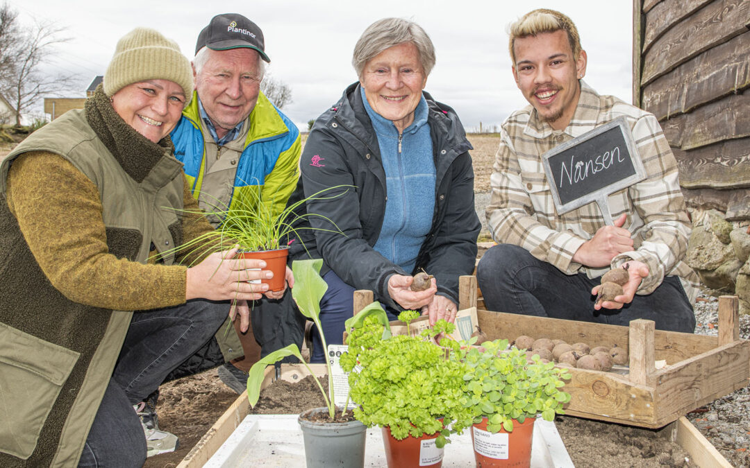 Bygdekvinner dyrkar kjøkkenhagetrenden