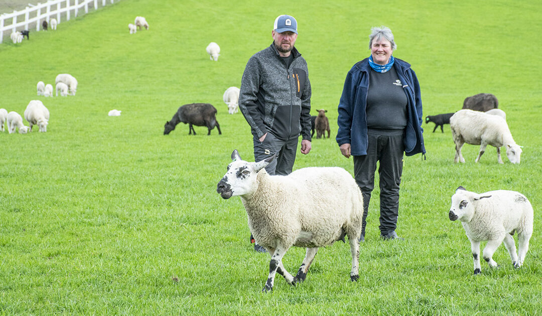 Varslar om ukultur i NSG