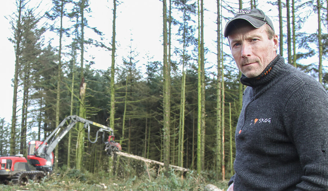 Sånn skjøtter du vestlandsskogen