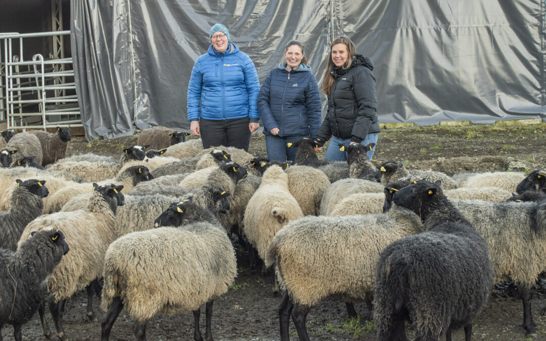 Tryggare med ein erfaren bonde på laget