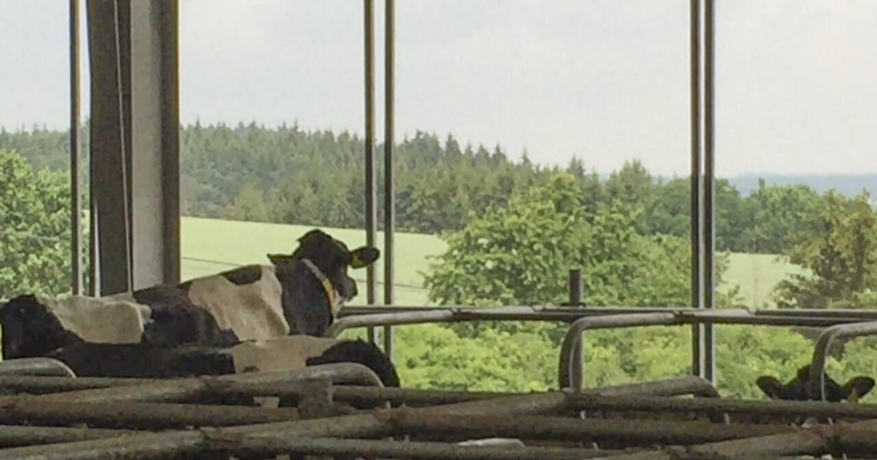 Frisk luft er velvære Bondevennen