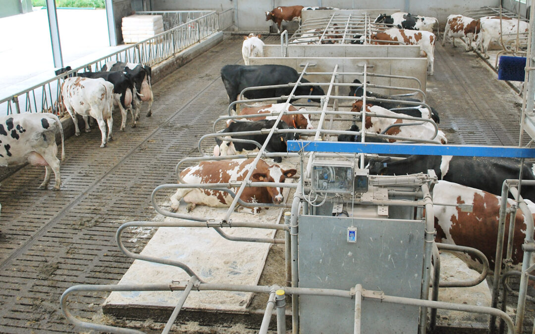 Gi plass til fri bevegelse