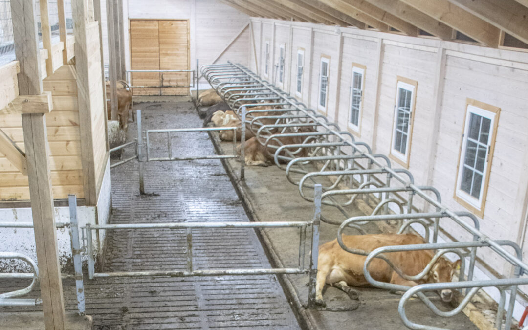 IN Rogaland: – Tomt til påske