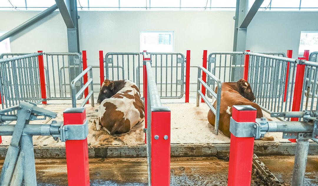 NRF-eliten i nytt fjøs