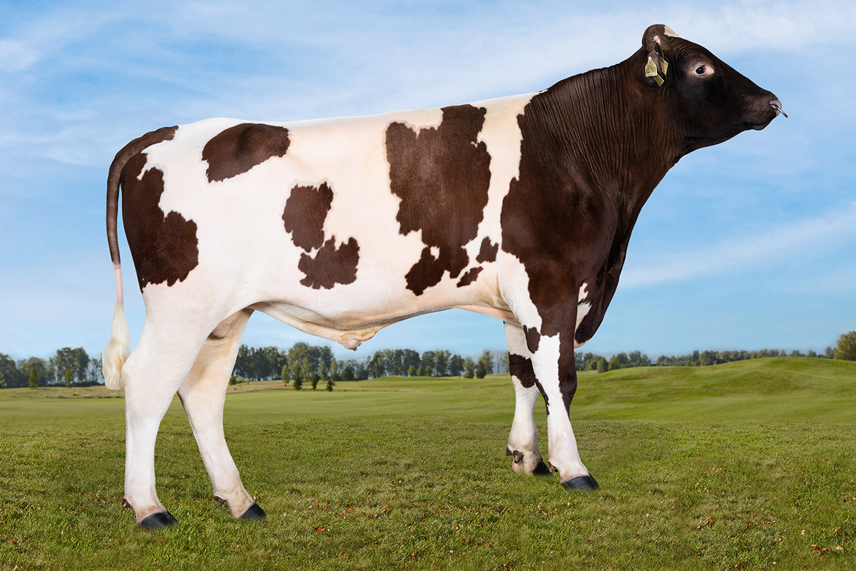 12297 NR Muri-P Foto: Turi Nordengen/Geno