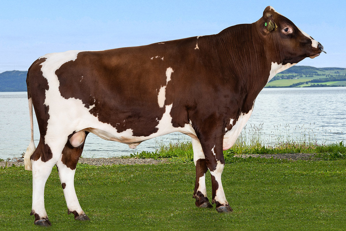 12328 NR Vestre-P Foto: Turi Nordengen /Geno