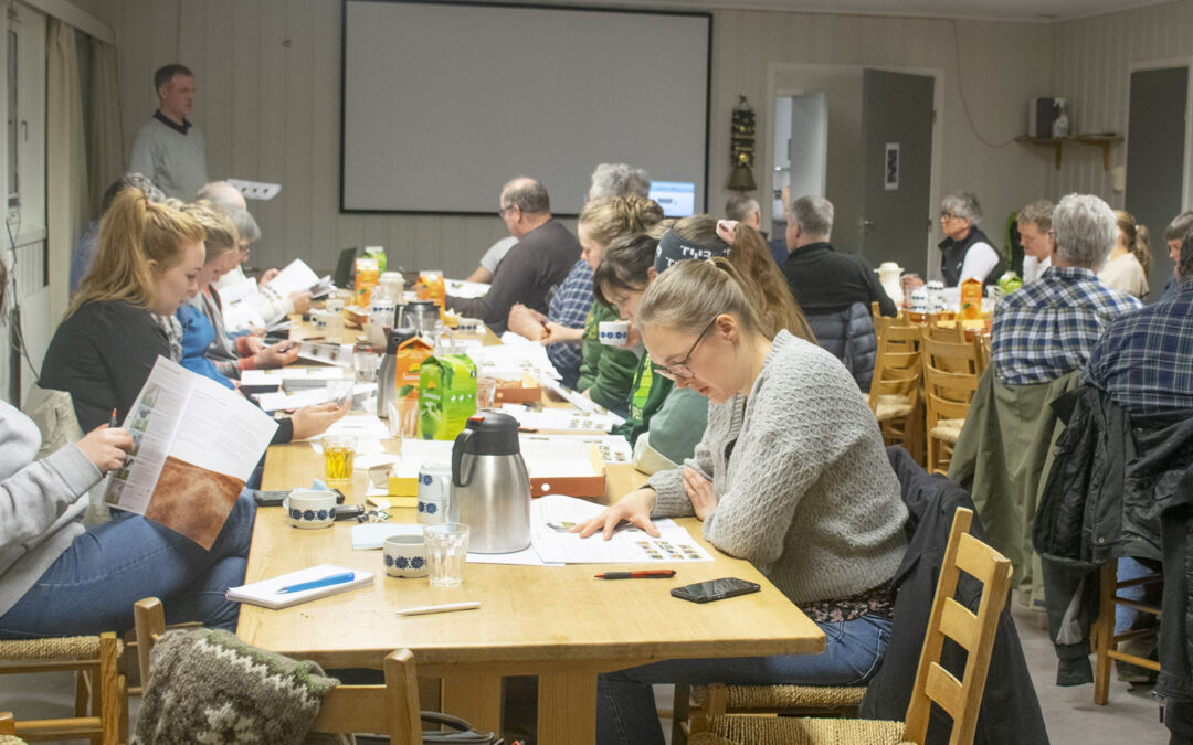 Oksekatalogen  – stut for stut