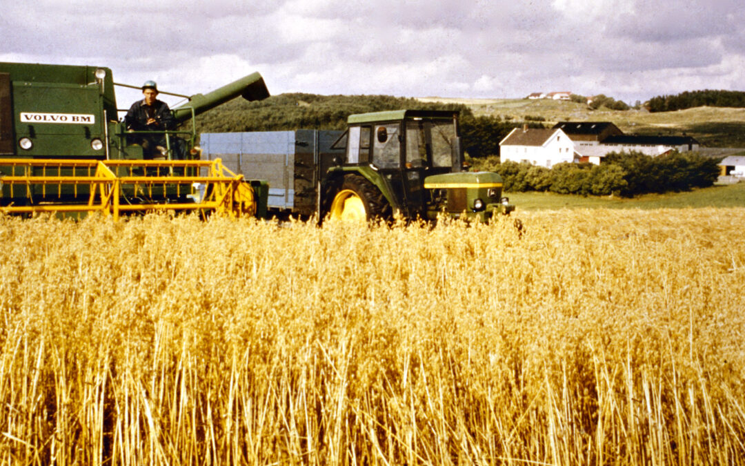 Store ambisjonar, men korleis nå dei?