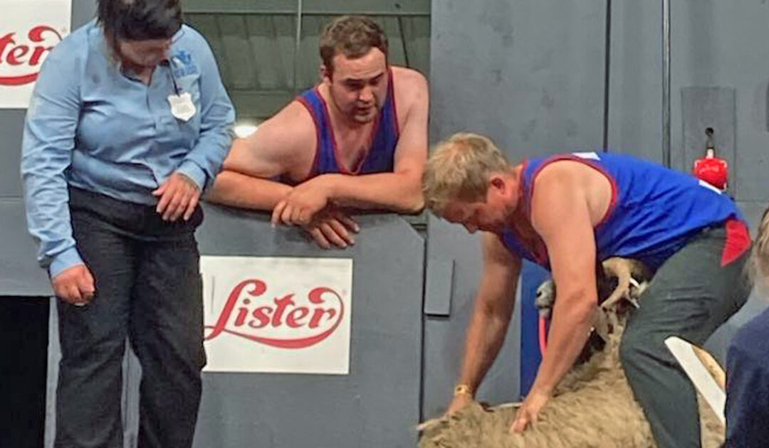 Inviterer til Royal Welsh Show