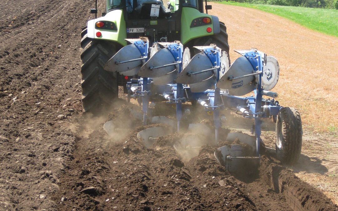 Fornying av eng med og uten plog