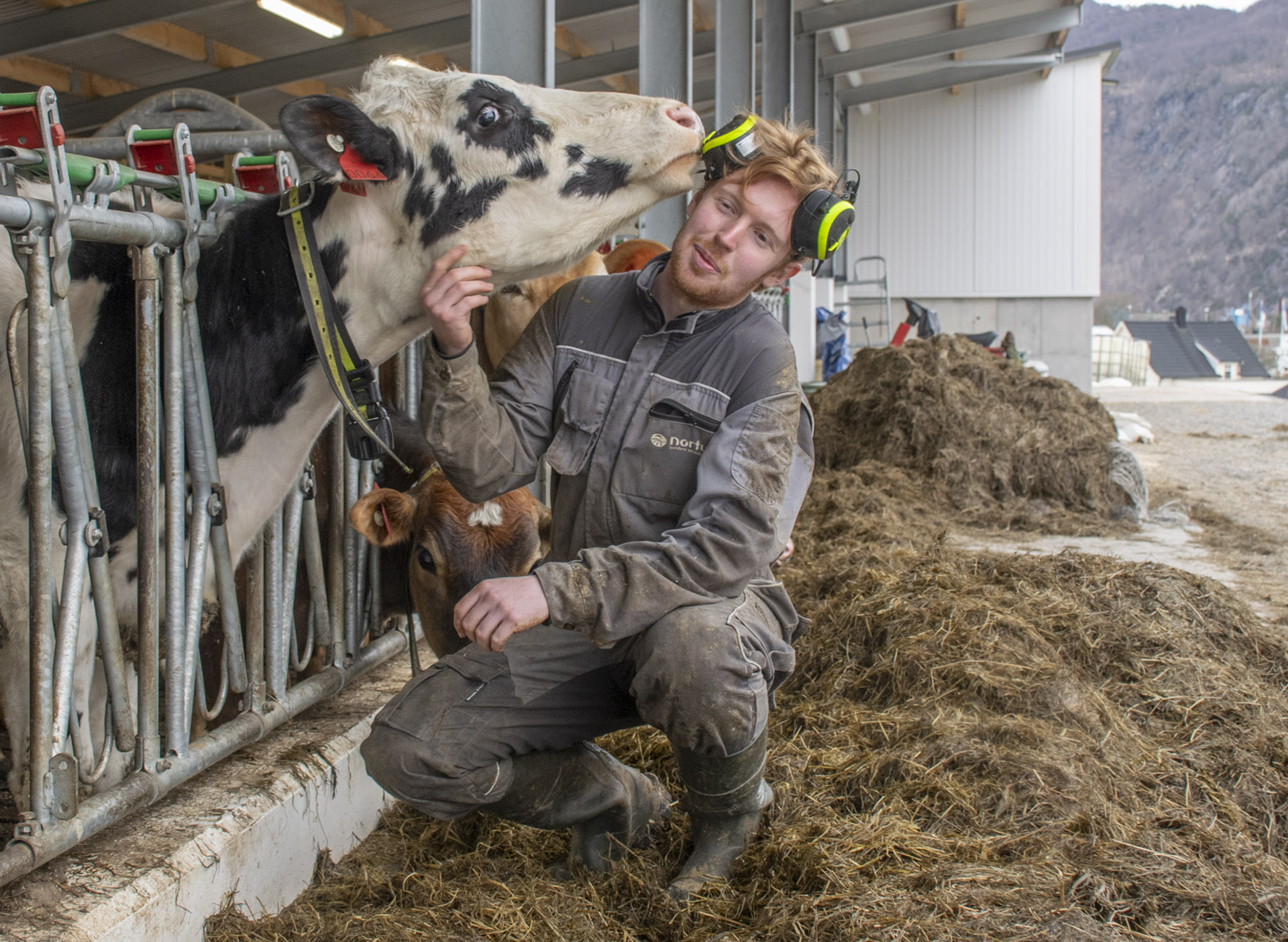 Husdyrinteresse: Det er i fjøset han tener pengar, og i lag med dyra Øystein trivst best.