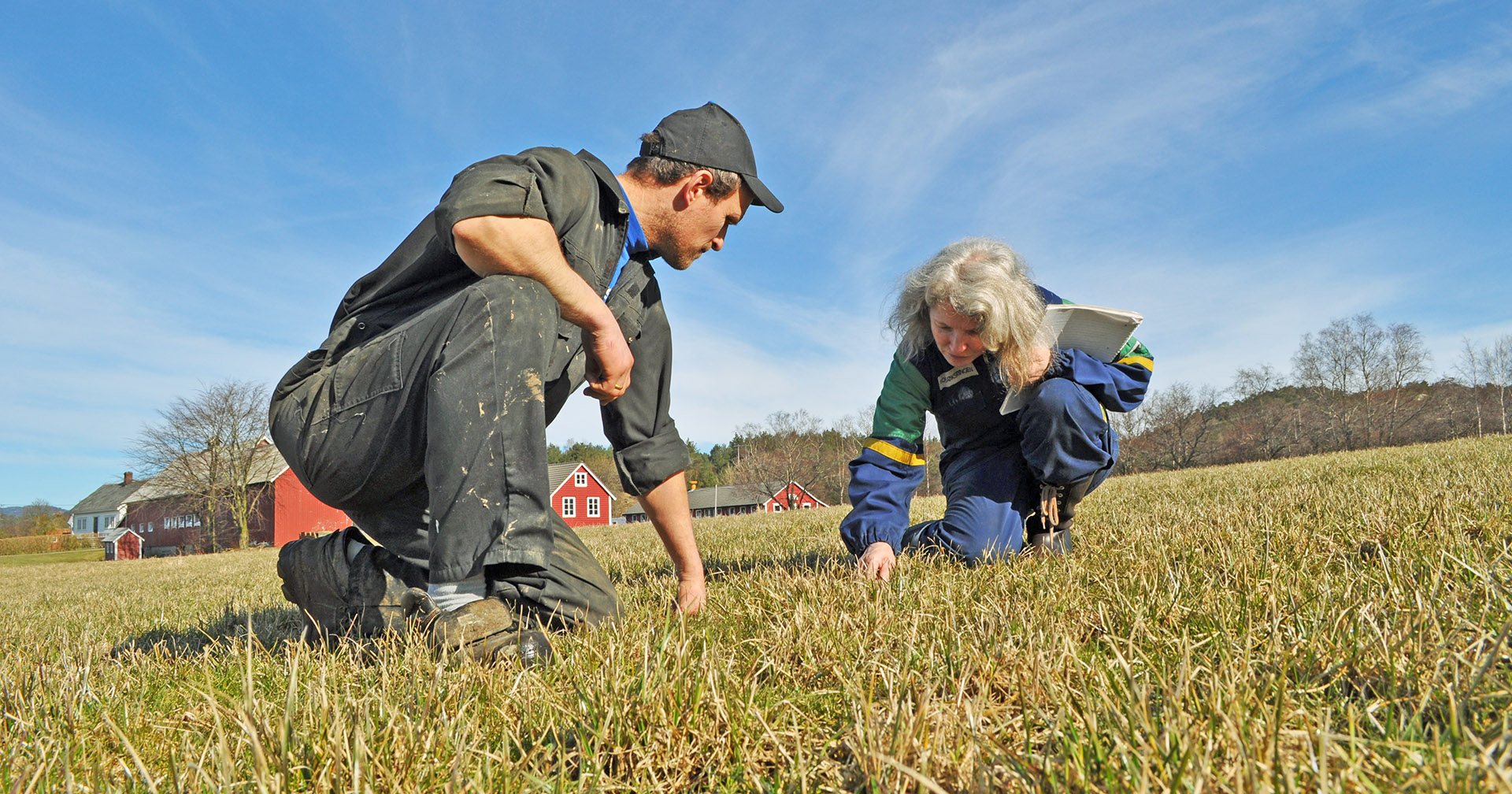 Tett på: Det er viktig å studere enga nøye etter overvintring, slik bonde Erik Willgohs og NLR-rådgiver Lise Austrheim her gjør.
