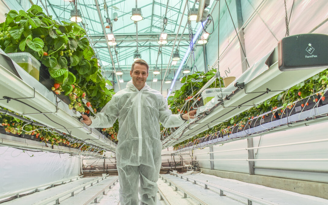 – Aldri vore så mange moglegheiter