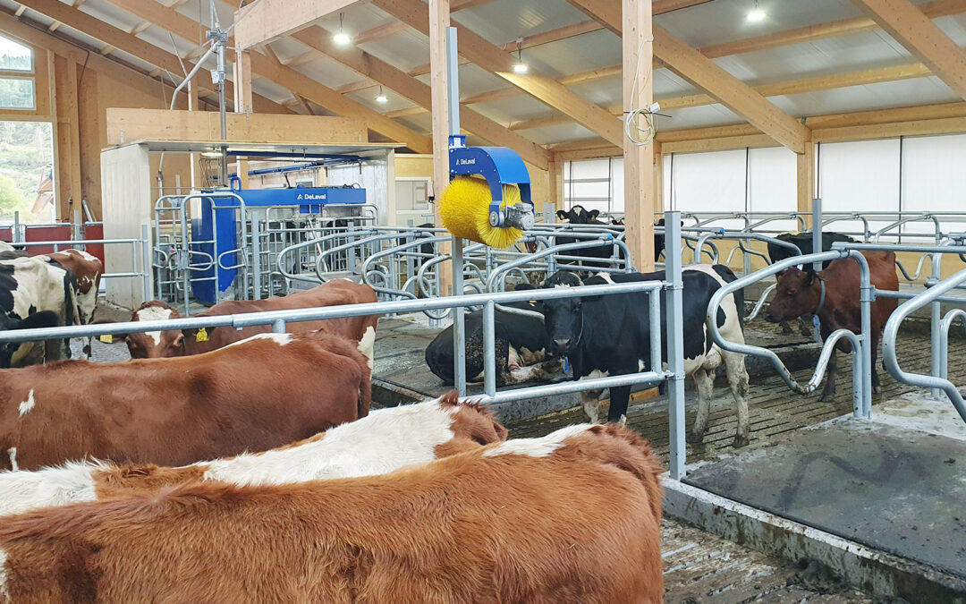 Agder: Vil ha økonomi til å avvikle