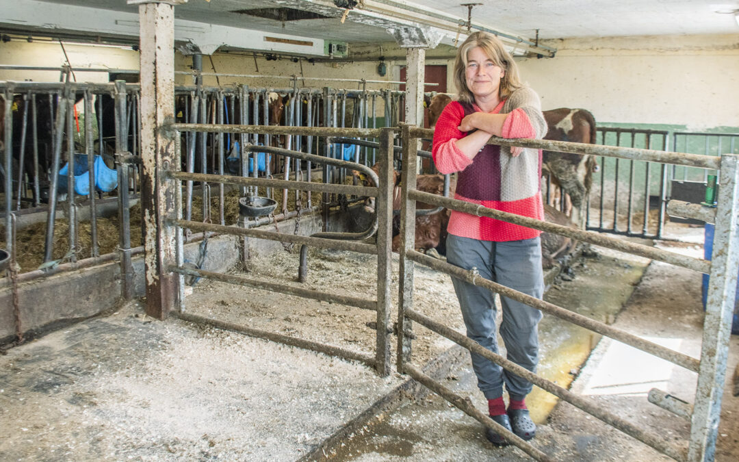 Kalvingsbinge: Enkelt, rimeleg – og bra