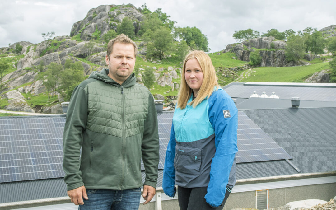 Lagrar solstraumen i batteri