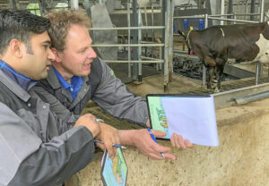 Bruk øynene: Det er en god idé å bruke noen timer på å observere besetningen din. Ta med medarbeidere eller avløseren. Bilde fra et CowSignals-kurs. Foto: Lean Farming®