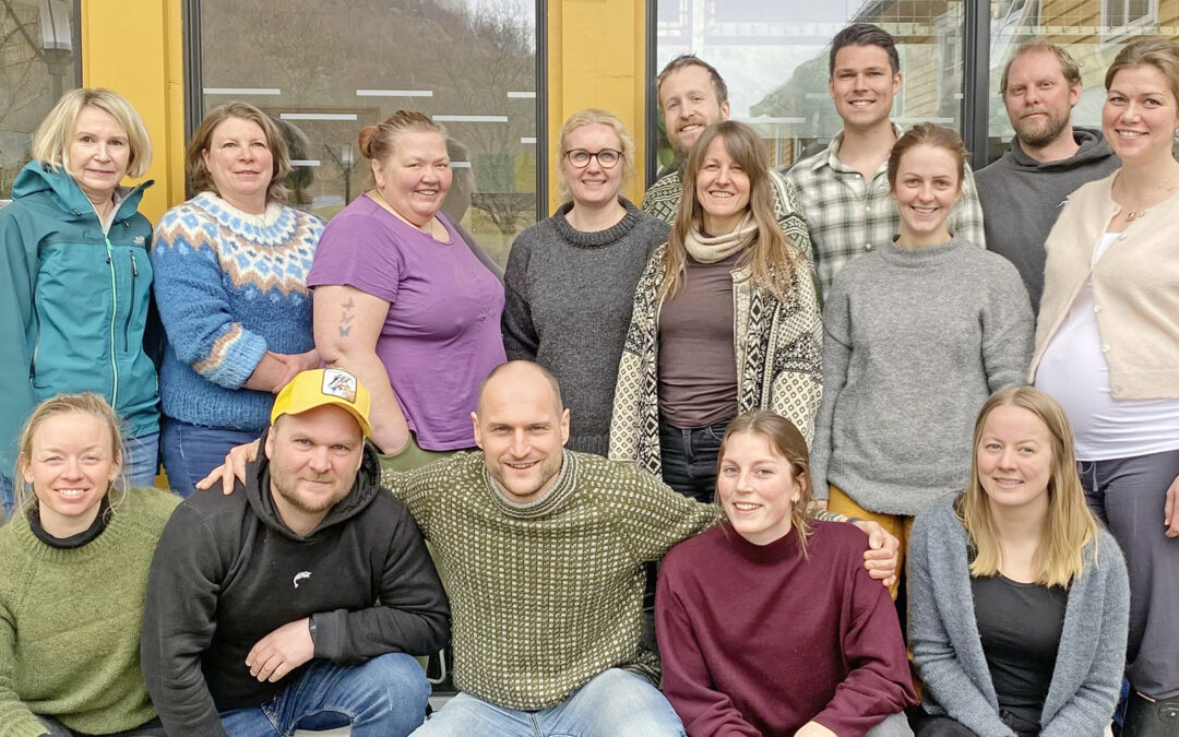 Femten ferske ystarar!