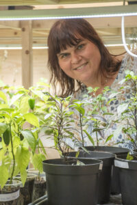 På kontoret: Planterommet har blitt bonden Tatyana sitt nye «kontor». Her bruker ho mange timar på å så frø og potte om, vatne og gjødsle, før plantane blir planta ut i drivhuset.