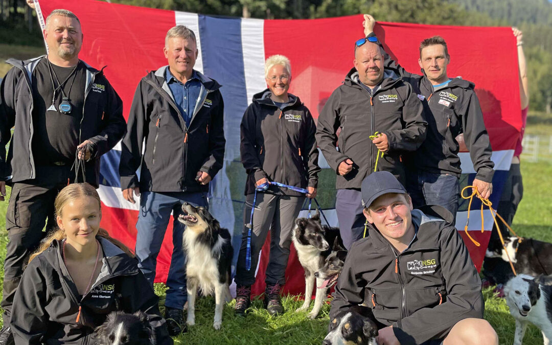 Gjetarhund EM: Gull til Norge