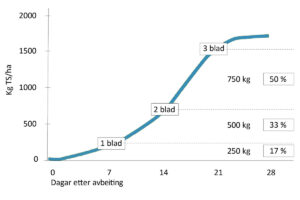 Sikre god gjenvekst: Figuren viser skilnaden i gjenvekst i eng kor graset har 1, 2 eller 3 blader intakt etter avbeiting (4-5 cm stubbhøgd). Med 3 blad blir det meir fotosyntese og veksten kjem raskt i gang når graset får kvile. Figur: Hans Lund/Kvægkongressen 2024.