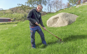 Tøff mot tistel: Bjørn Kåre hakkar vekk ein vegtistelrosett.