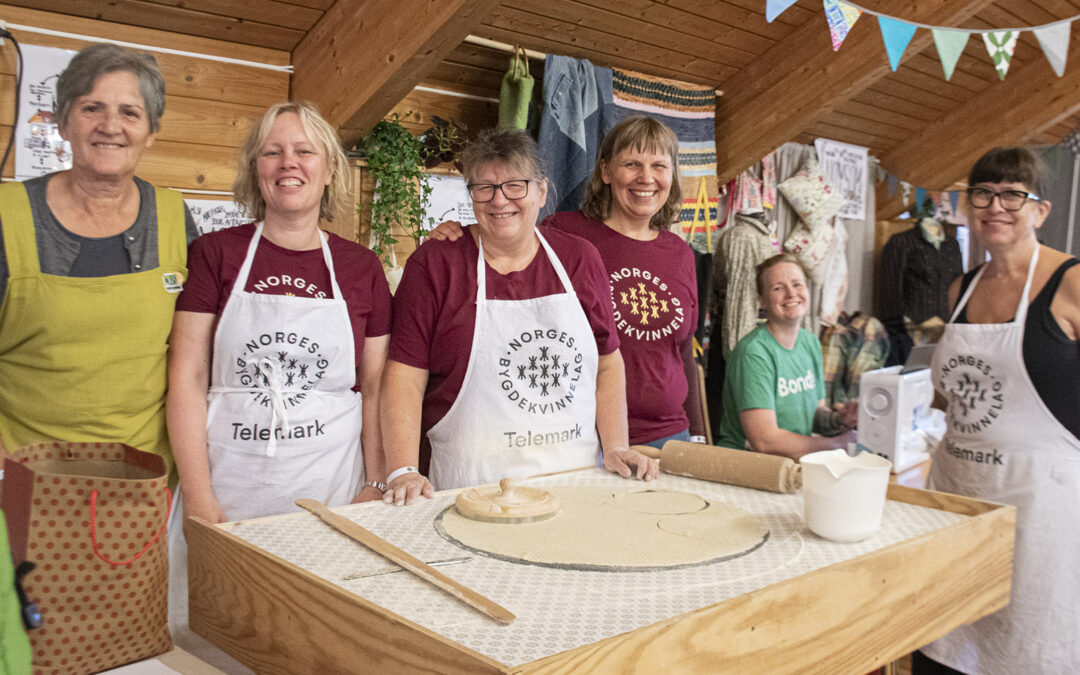 Kunnskapsbasert nøysemd