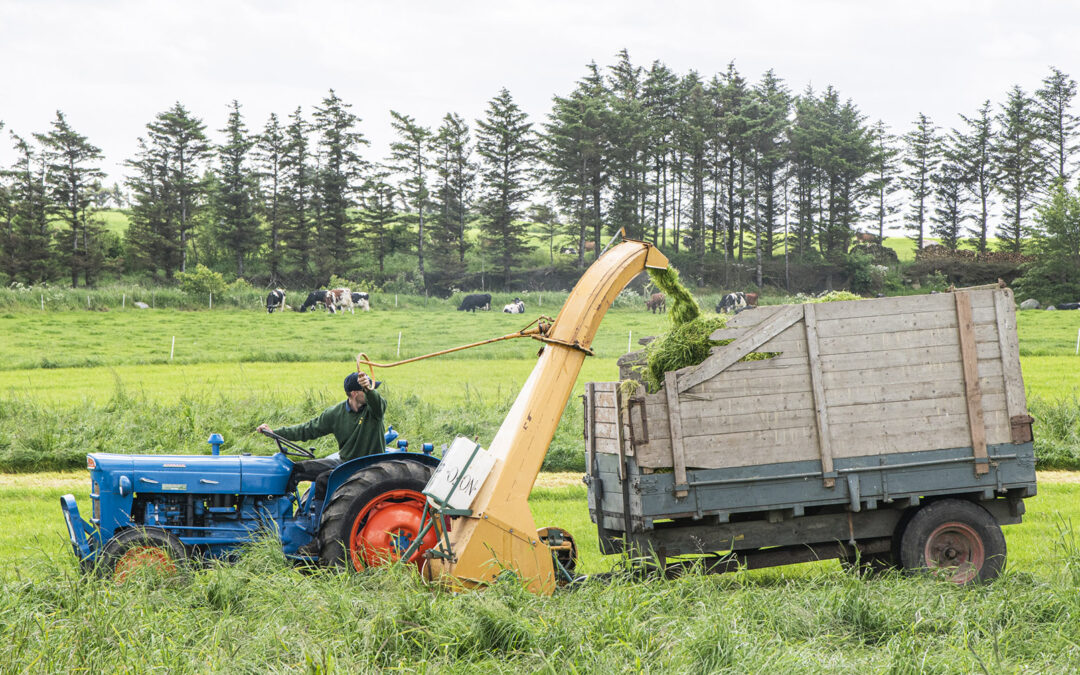 Ein hyllest til 160-åringen Serigstad