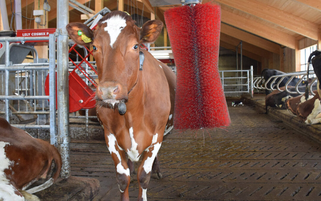 Merk deg forskriftsendringane om IBU-midlar