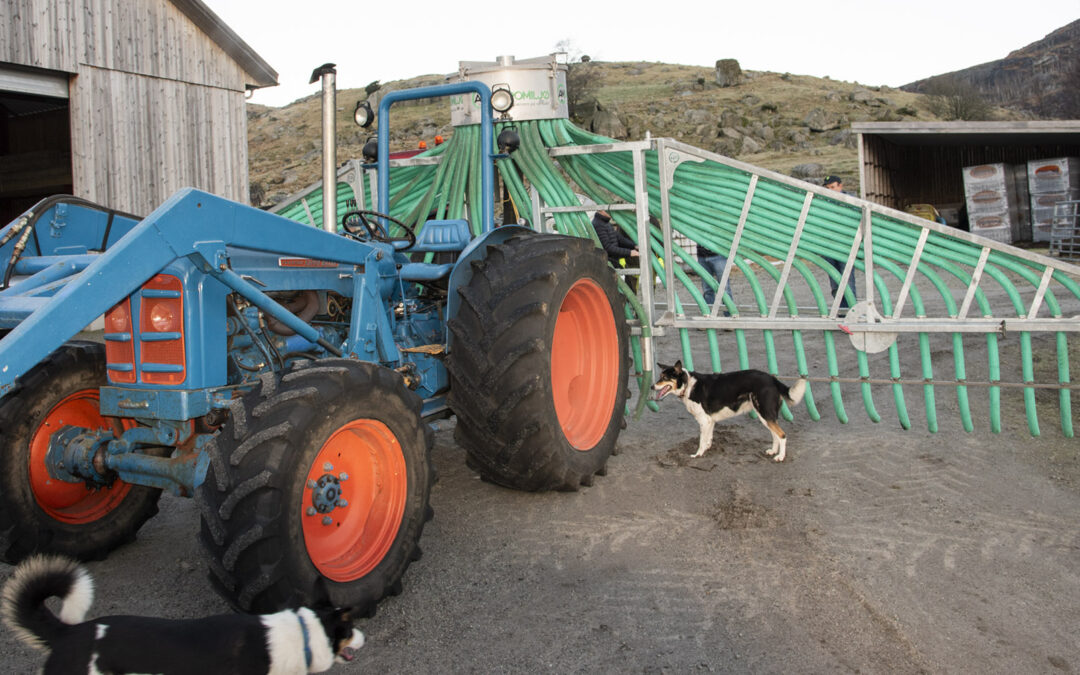 Lettar på trykket med Super Major frå 1960 og ny slangespreiar