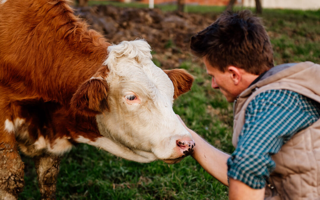 Inn på tunet hjå deg?