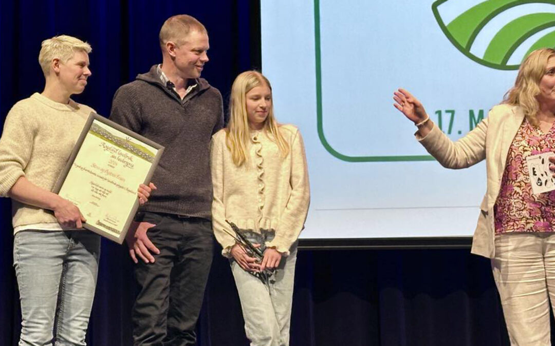 Heidra for stølsdrift