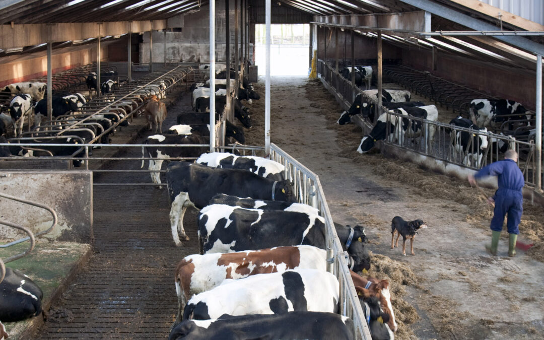 Ber om ”ja” frå jærske storbønder