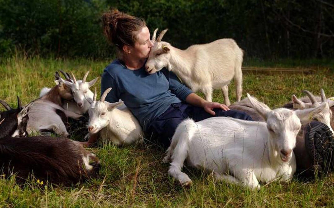 Smått er framtidsretta