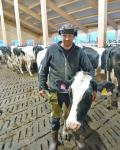 Rolege, gilde kyr: Øyvind har god kontakt med kyrne sine. Dei kjem gjerne bort for ein klapp når han er inne i lausdrifta. Foto: Privat