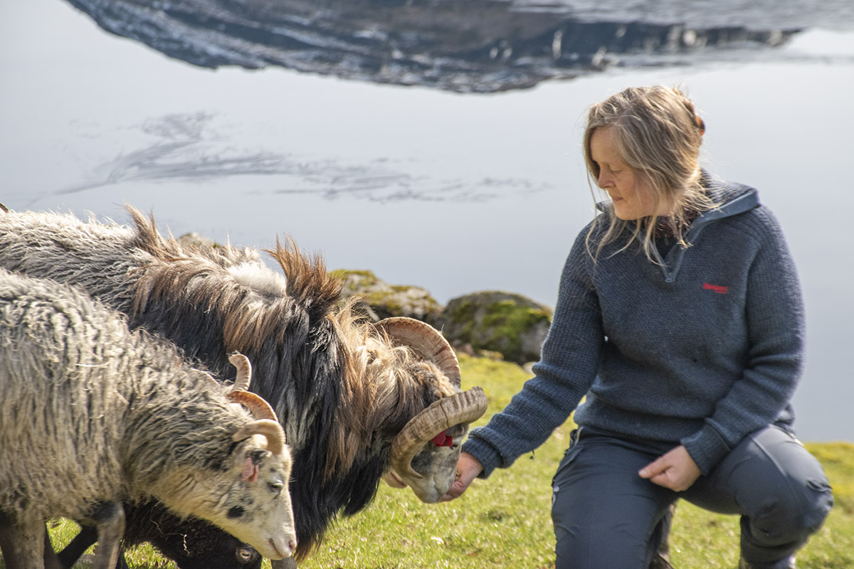 Mot vår: Årringane går på innmark og får ekstra godt stell og tilsyn. Det grønkar i bakkane, men fjelltoppane ligg framleis kvite – og speglar seg i Fjellgardsvatnet.