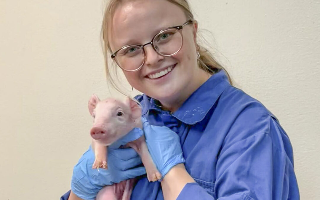 Korleis betra veterinærdekkinga?