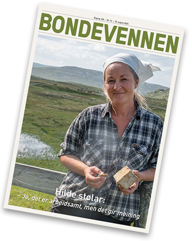 BV nr 14 – 29. august 2025