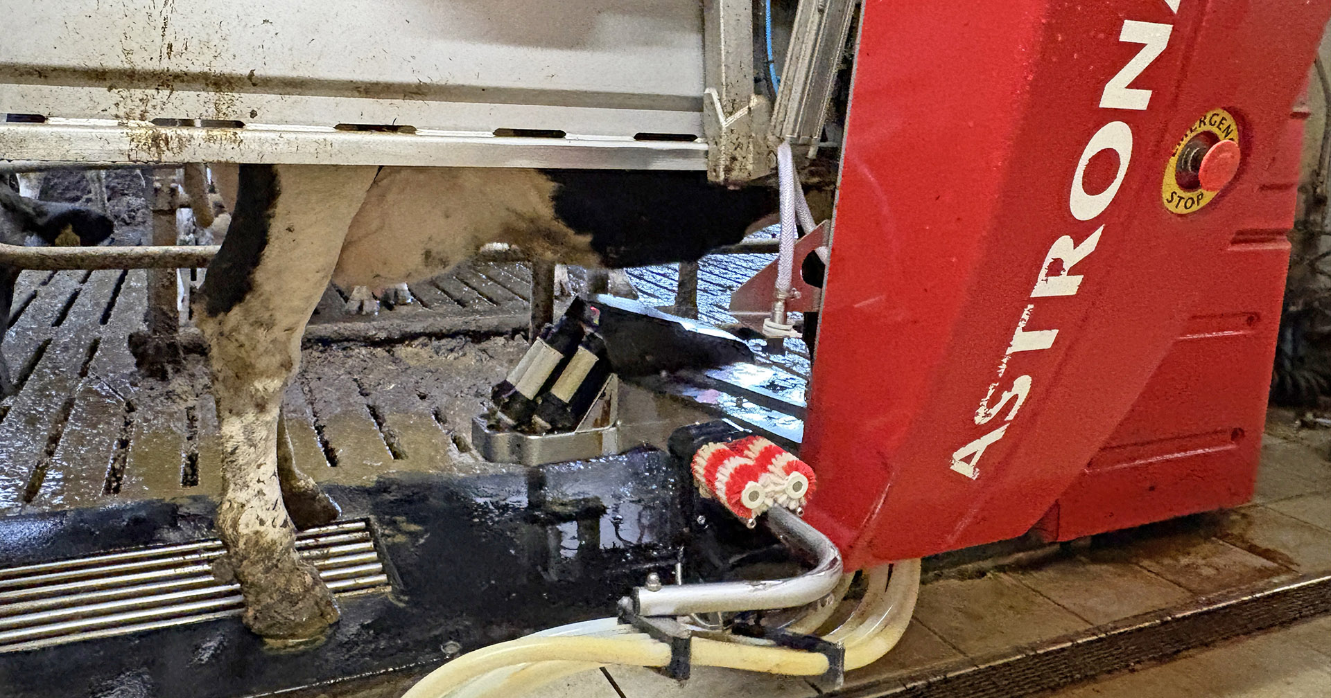 Smart: Børstemotor fra A5-modellen er satt på A3-modellen. Alle foto: Fruerlund Farm Management