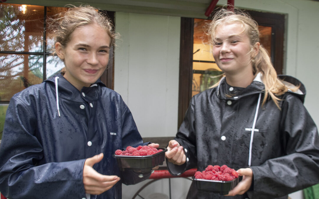 Bringebærjentene på Sola