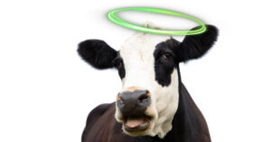 Kor grøn kan ho bli? Bruk av metan-hemmarar er i beste fall symbol­politikk, meiner Bjørn Lende. Illustrasjon: Istock