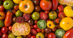 Foto: Istock / MementoImage