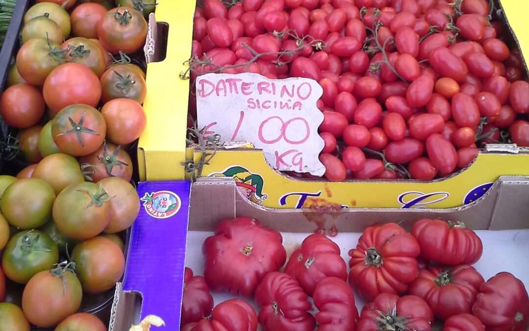 Tomatanes nye mangfald