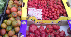 Ein vinnar: Frå opphaveleg å vera liten som ei ert, har tomaten blitt foredla til alskens variantar og storleikar. Som så erobra all verdas kjøkken.