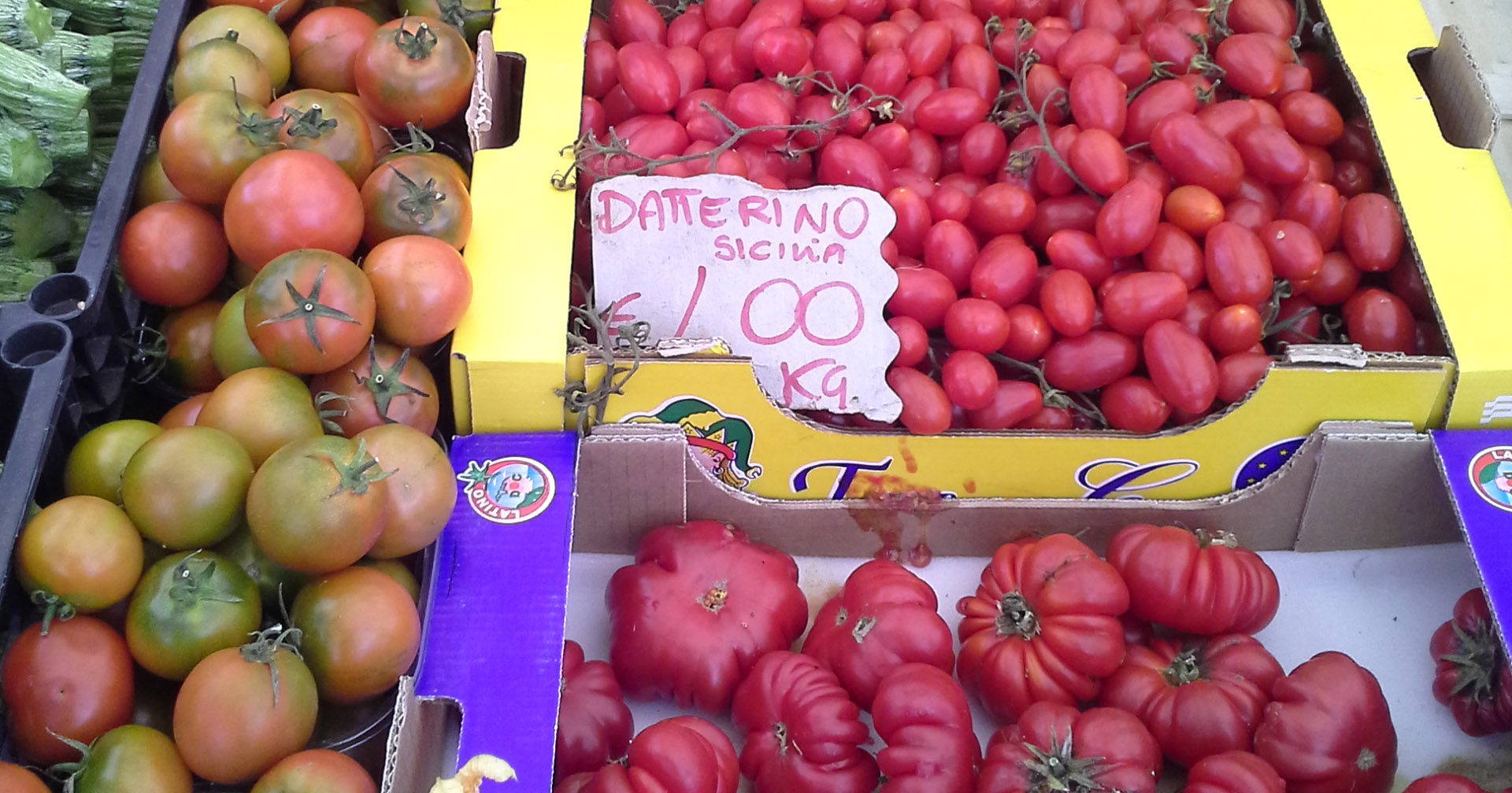 Ein vinnar: Frå opphaveleg å vera liten som ei ert, har tomaten blitt foredla til alskens variantar og storleikar. Som så erobra all verdas kjøkken.
