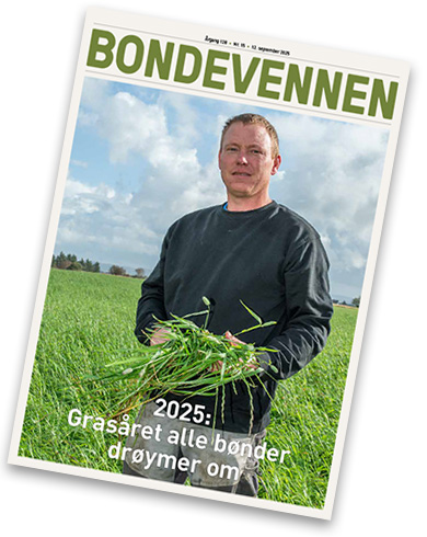 BV nr 15 – 12. september 2025