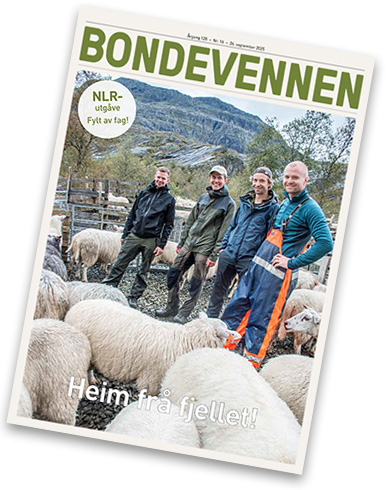 BV nr 16 – 26. september 2025