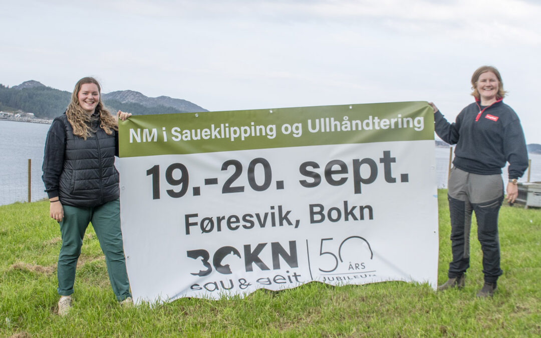 Snur Bokn på hovudet med NM